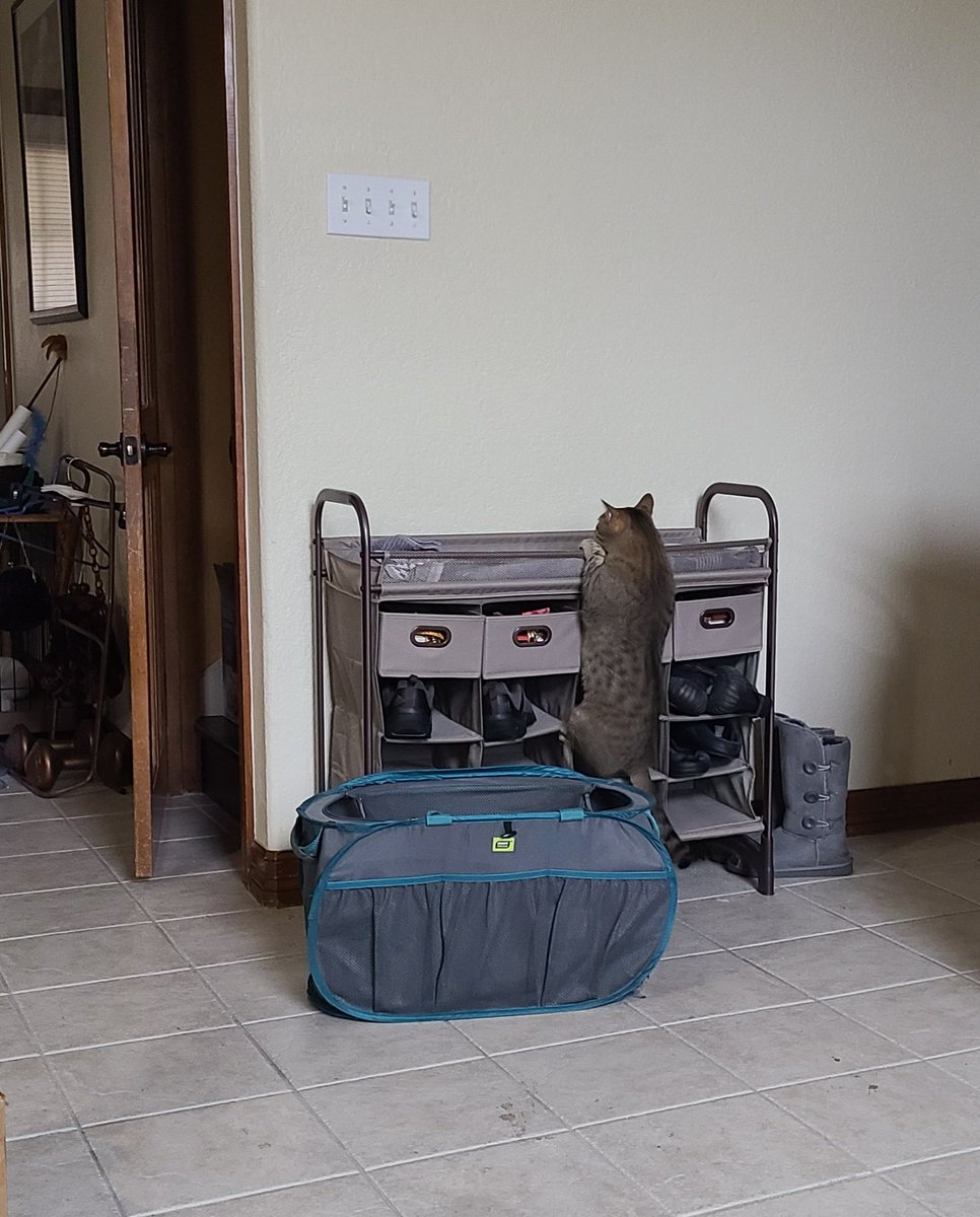 snickarp tweet media