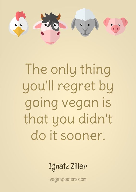 The only thing you'll regret by going vegan is that you didn't do it sooner. - Ignatz Ziller #vegan