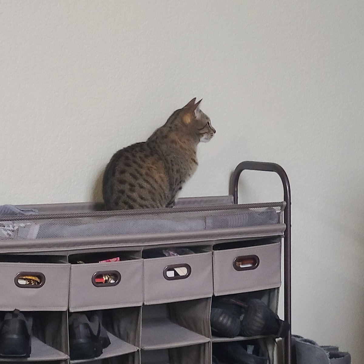 snickarp tweet media