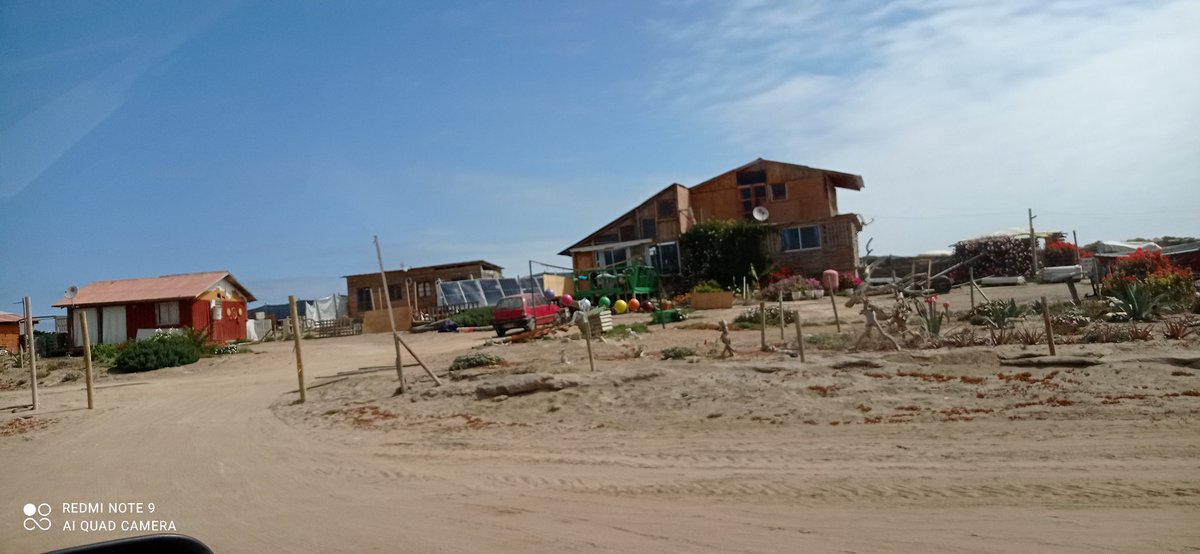 ChungungoP's tweet photo. Punta de Choros, El Llano de Los Choros, Los Choros y cerros Tofinos, una salida çortita por ese sector de la comuna de La Higuera https://t.co/USj6SmUWGQ