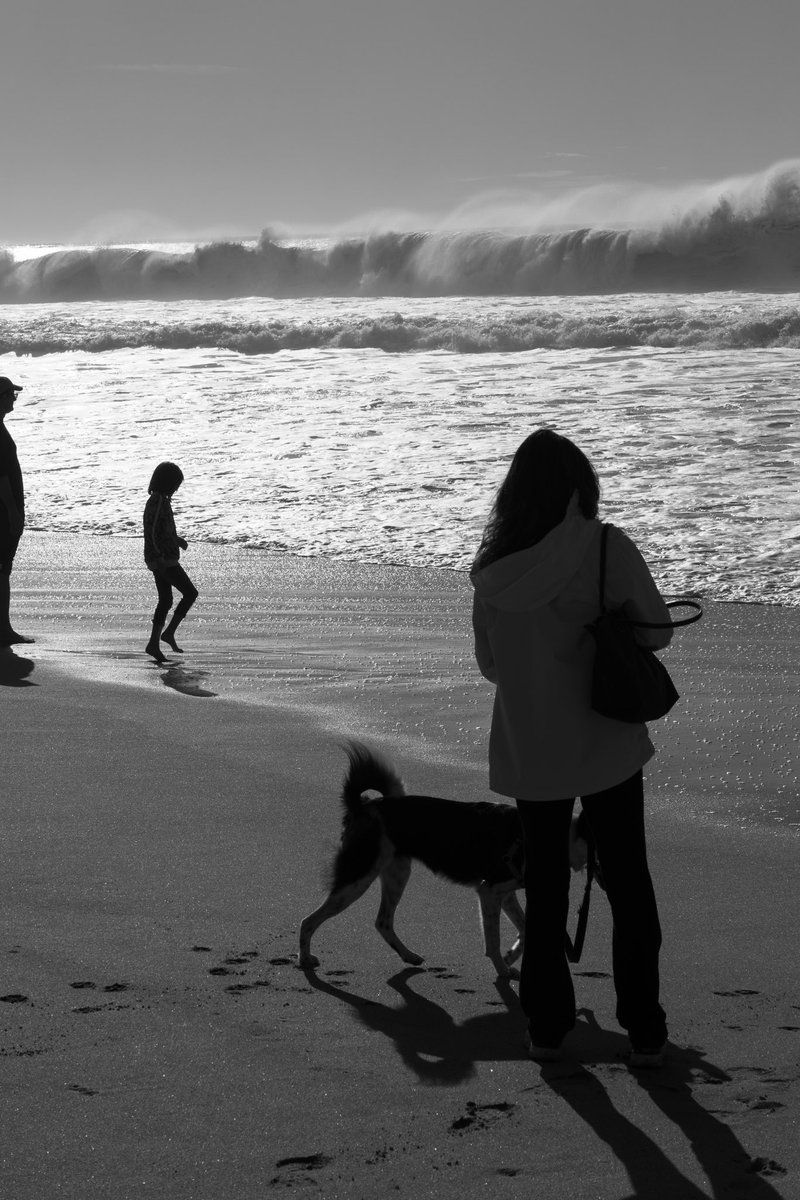 jdvogt's tweet photo. A dramatic day at the beach. https://t.co/HyAMc2mglX
