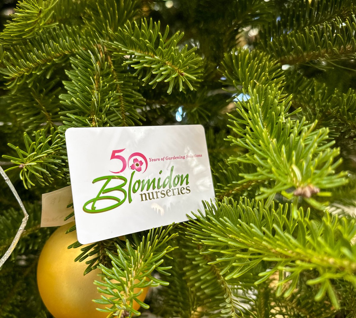 Not sure what to get that special someone with a green-thumb? 🤔

A Blomidon Nurseries gift card is sure to put a smile on their face this holiday season! 

You can purchase gift cards in-store and online! Visit blomidonnurseries.com/giftcard