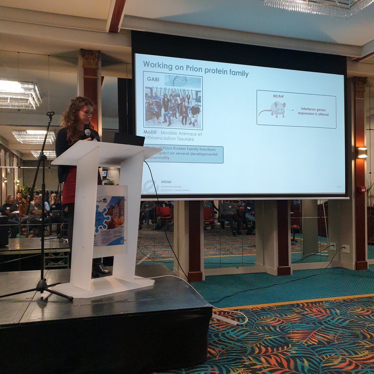 resaflu's tweet photo. The #scientific #program included three great sessions dealing with:
1) influenza #emergence and #dissemination #mechanisms
2) #influenza #pathophysiology and #virulence determinants
3) #prophylactic and #therapeutic #strategies https://t.co/NRugTPe81d