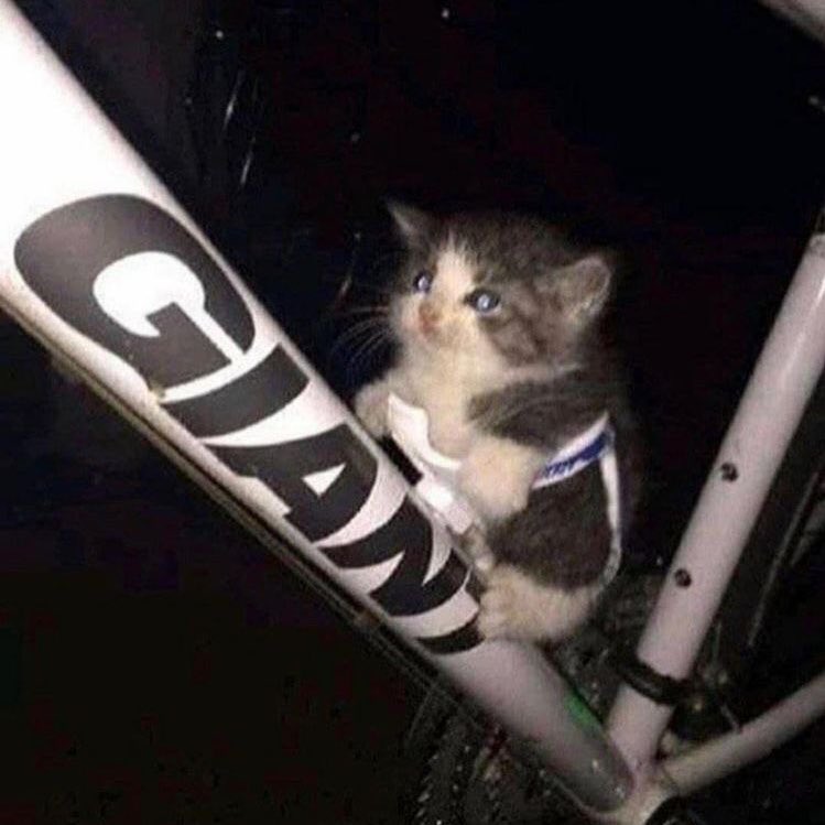 s so small… can f fit in bike cupholder….