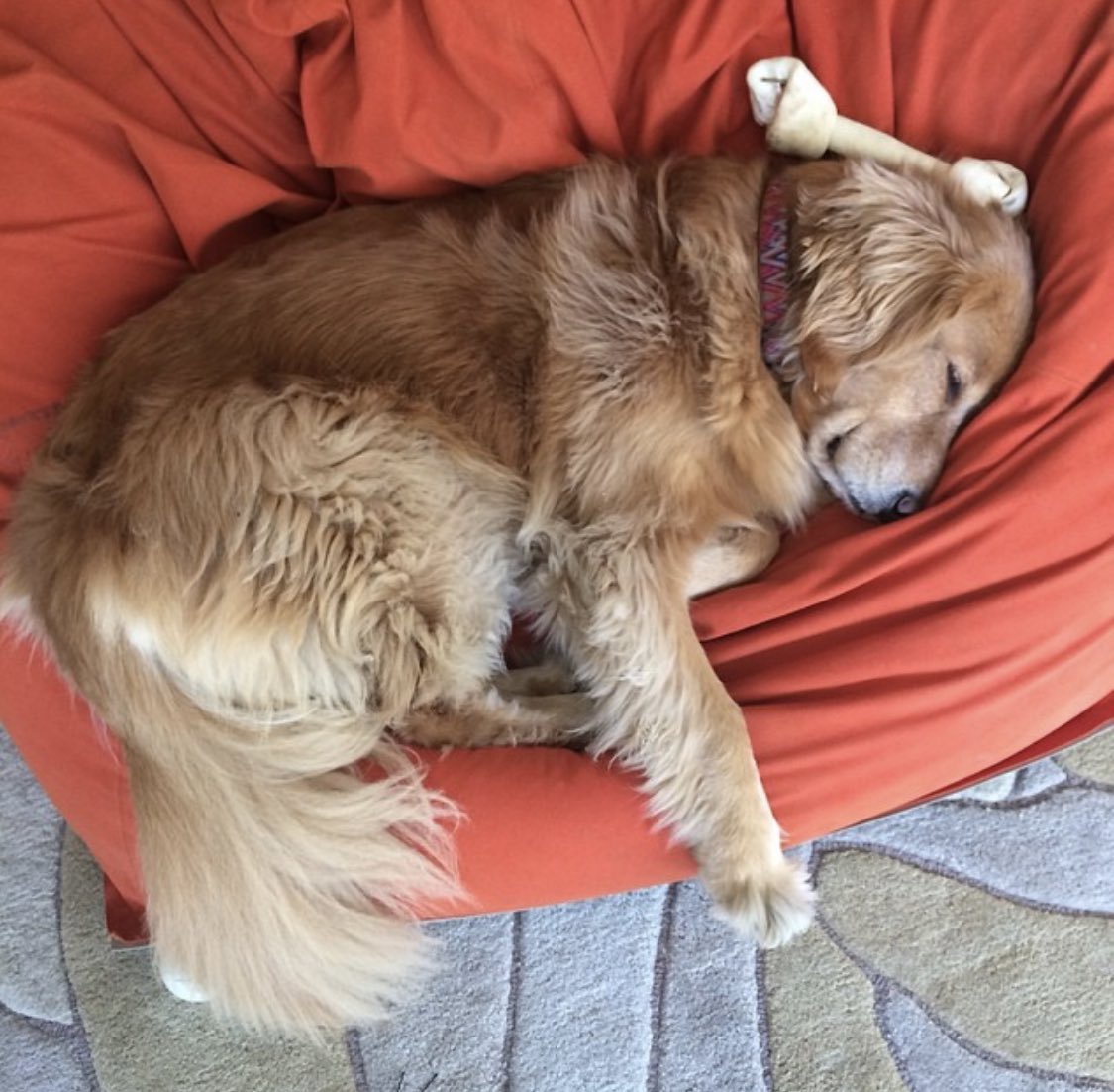 Margaret Stewart tweet media