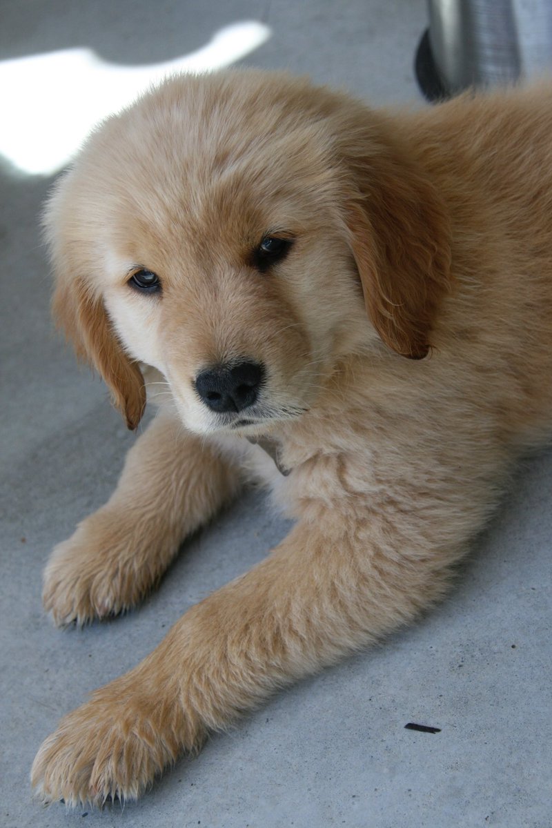 Margaret Stewart tweet media