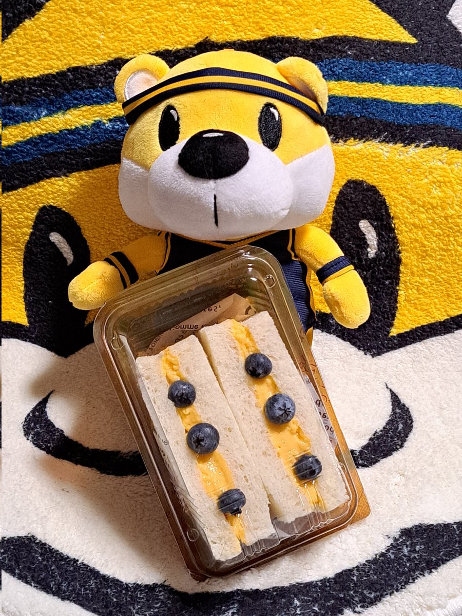 kumimickey's tweet photo. ブレッキーもお気に入り🐻🌟
パンがふわふわで
レモン牛乳味の
カスタードクリームが
美味しかったよ(*´∇`*)
みんなも買ってね🎵
#宇都宮ブレックス
#BREX
#BREPAN https://t.co/4lsu1SaJfz