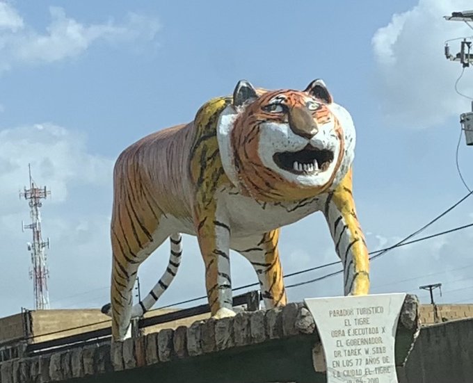 CarlosCarrilloW's tweet photo. Nunca olvidaremos las risas, la compañía y lo felices que no hiciste. 

El Ñigre de El Tigre, Anzoátegui, Venezuela (2010-2022).

#Ñigre. https://t.co/zBwbpjkAPU