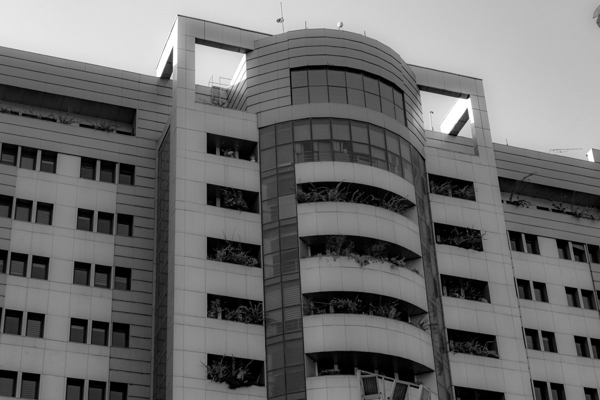 RedRoomDesigner's tweet photo. we are getting lost more, in the cities.

#building #canon #photography #NFT #theredroomdesigner #streetphotography https://t.co/1jBkySbj1m