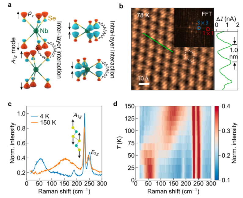 BahramyLab's tweet photo. Our paper, titled "Axial-Bonding-Driven Dimensionality Effect on the Charge-Density Wave in NbSe 2", has been published in the latest issue of Nano Letters @NanoLetters: https://t.co/PCLbivEzcQ https://t.co/c3JQGYv1tB