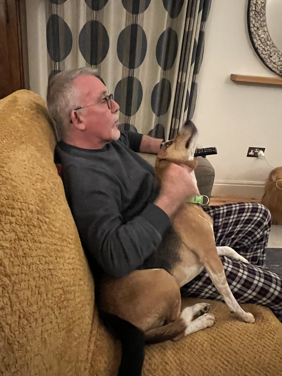 FitzTheBeagle's tweet photo. https://t.co/09igeNkLuC