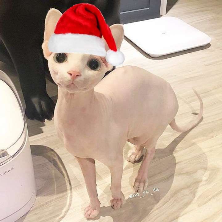 jay z (@jacescamanders) on Twitter photo 