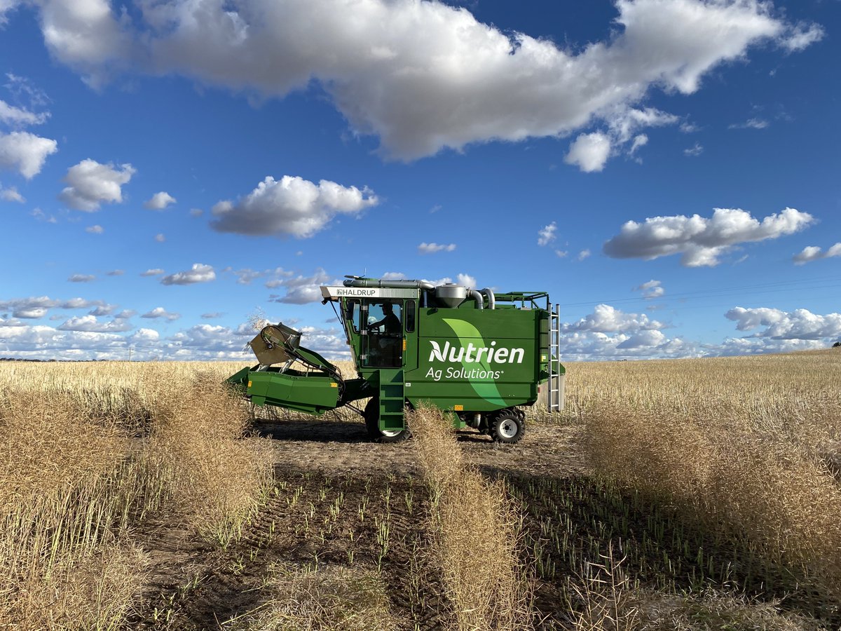 Brad Westphal tweet media