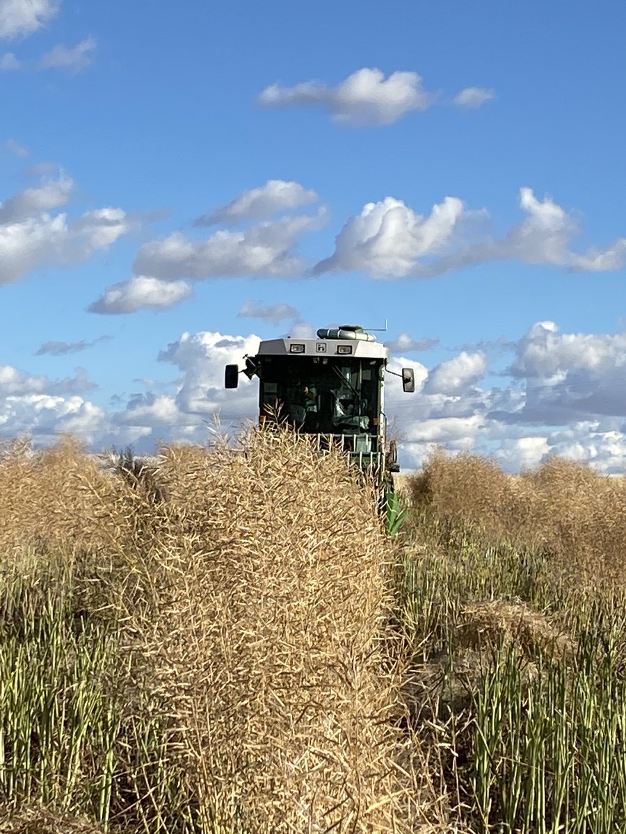 Brad Westphal tweet media