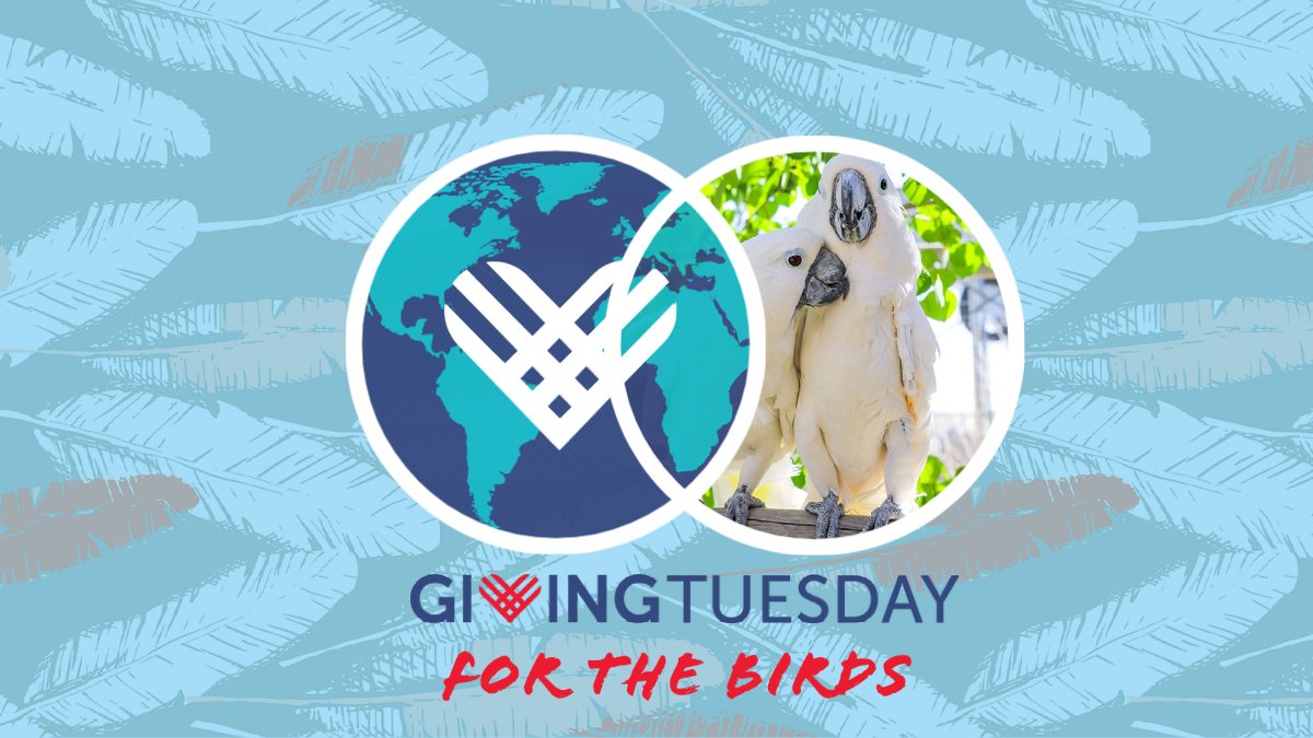 Save The Date For the Birds 🐦 - mailchi.mp/thegabrielfoun…