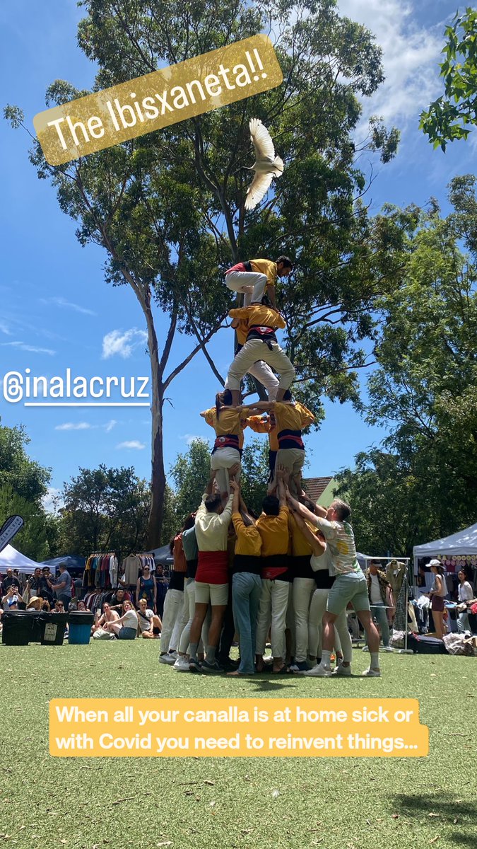 When all your canalla is home sick or with Covid... It is time to reinvent things...
The Ibisxaneta!!!
#Castellers &amp; #Castelleres de #Sydney at #GleebeMarkets #Ibis