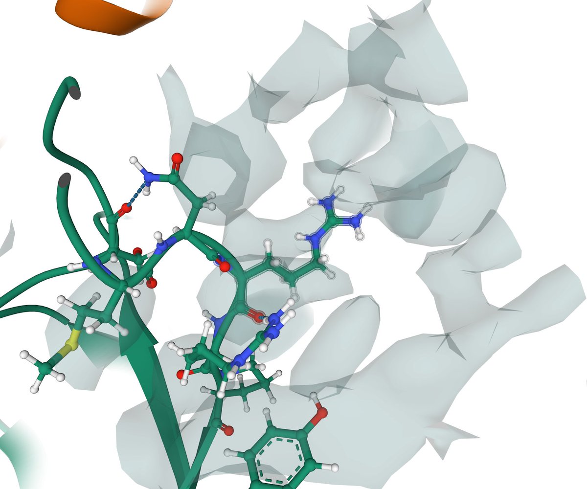 PillotP's tweet photo. @SD_Viz Thanks for highlighting this feat!
I've noticed that the structure file contains H atoms despite having a resolution of 4.2Å. Also, the EDMap looks coarse when viewed in Mol*. I wonder how confident we can be about the hydrogens positions? https://t.co/omVRnPnTgm