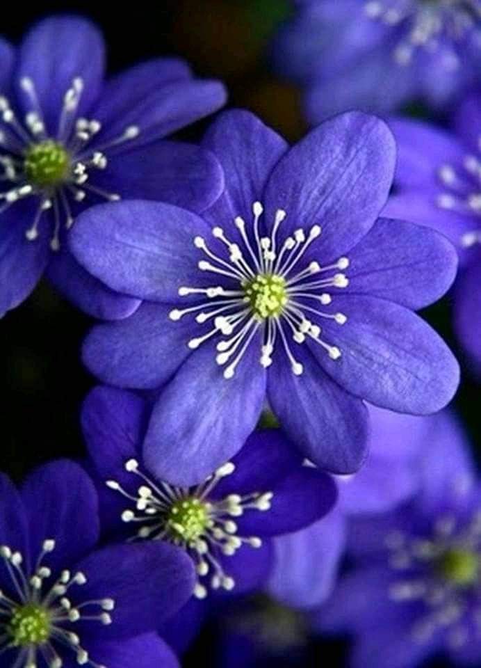Silvia Aniceto Martinez (@aniceto_silvia) on Twitter photo 