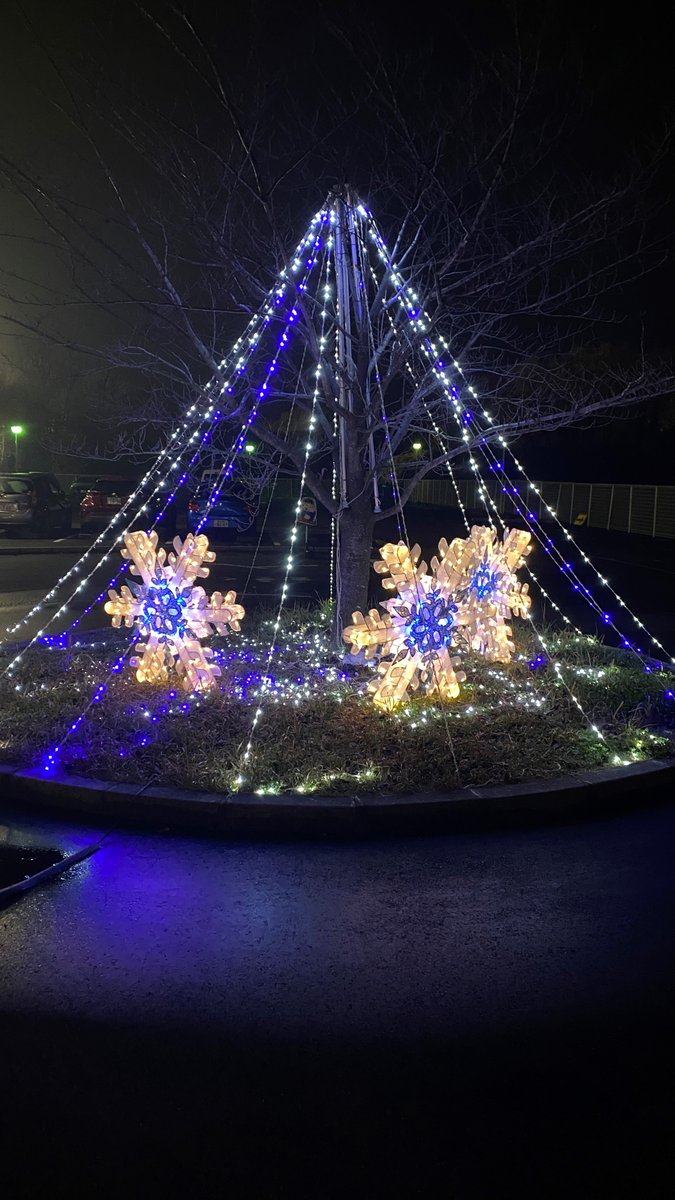 KOGA_Hospital's tweet photo. 今年のイルミネーションは雪の結晶
#イルミネーション https://t.co/XdxrQEzaCD
