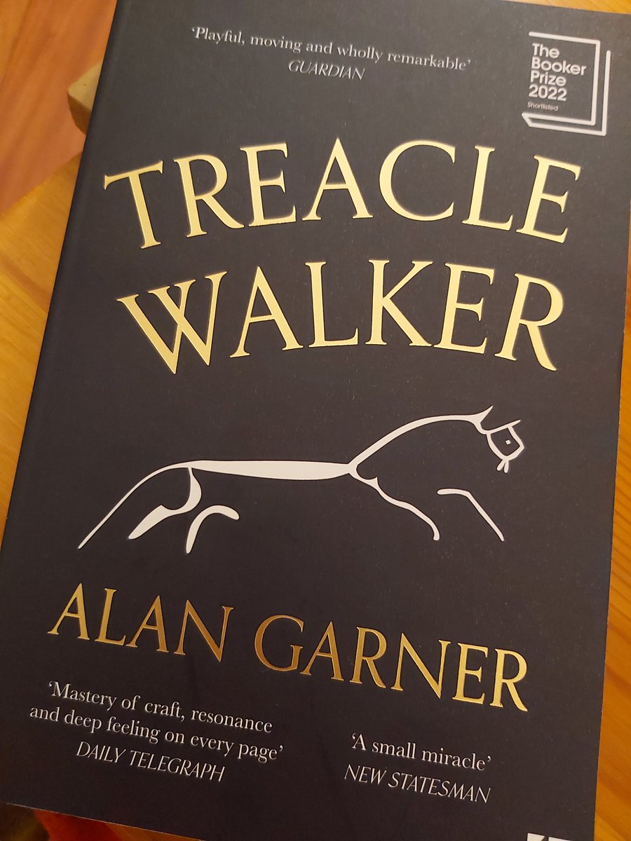 veewalkerwrites's tweet photo. Oh dear. Wondering if there isn't a touch of The Emperor's New Clothes about the #Booker-shortlist-inspired eulogies on the cover of #TreacleWalker. I found what he has to say fairly impenetrable - but in my defence I disliked all the neologisms in #RoaldDahl's BFG too. https://t.co/bGWP4D0Rf7