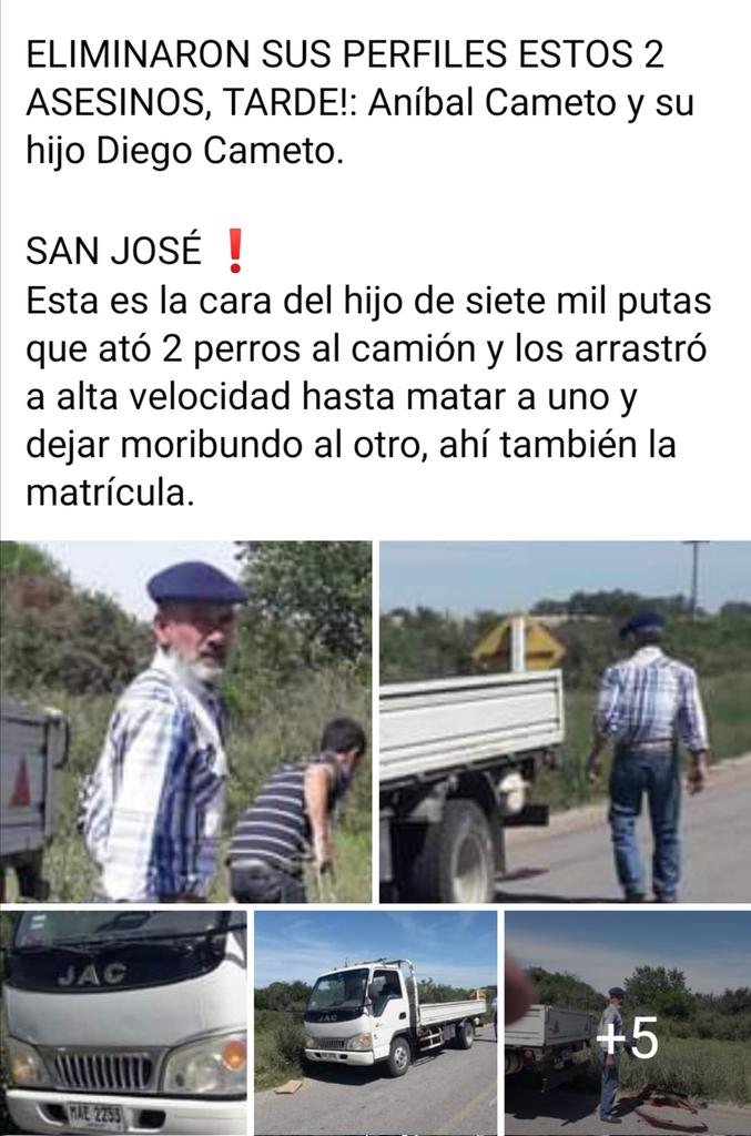 Pablo (@pablo23955261) on Twitter photo 