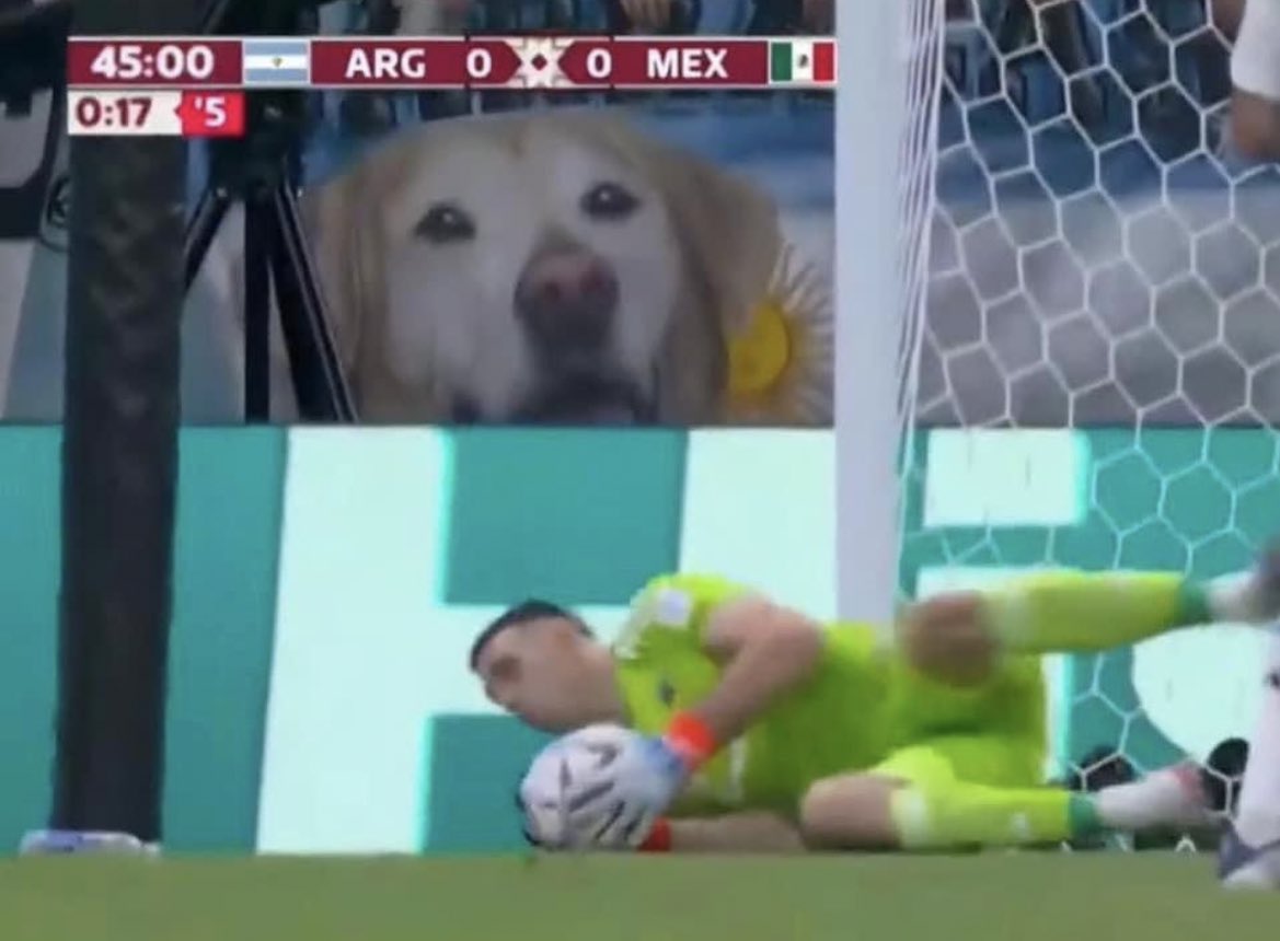 mariaJoseAS's tweet photo. Perdimos y todp pero…De lo más tierno del mundial la bandera con el perrito 🥹 https://t.co/y6C6IUWa9p