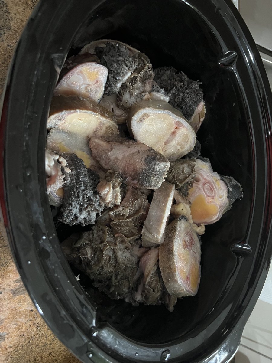 Muzvo Projects tweet media