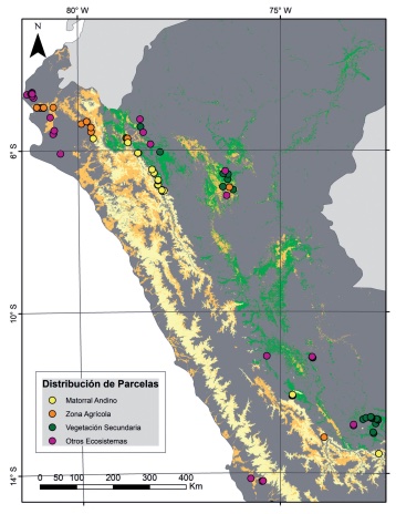 R_LinaresP's tweet photo. Curiosamente, 23% de las parcelas que instalamos en bosques que consideramos como #BosquesEstacionalmenteSecos, no fueron identificados así en el mapa de ecosistemas del 🇵🇪. Así que, a pesar la buena cantidad de inventario que tenemos en #DRYFLOR, aun quedan interrogantes. https://t.co/DIL8Vaz65l