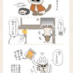 隠してあってもお見通し？可愛すぎる猫漫画が話題に!