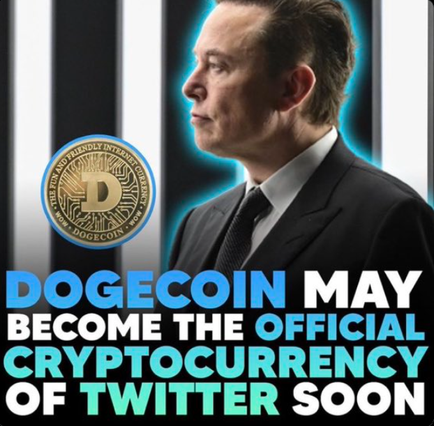 dogeQUAN tweet media