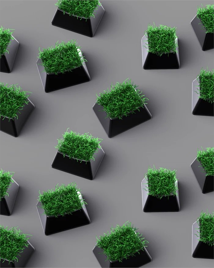 I touch grass every day. HBU?