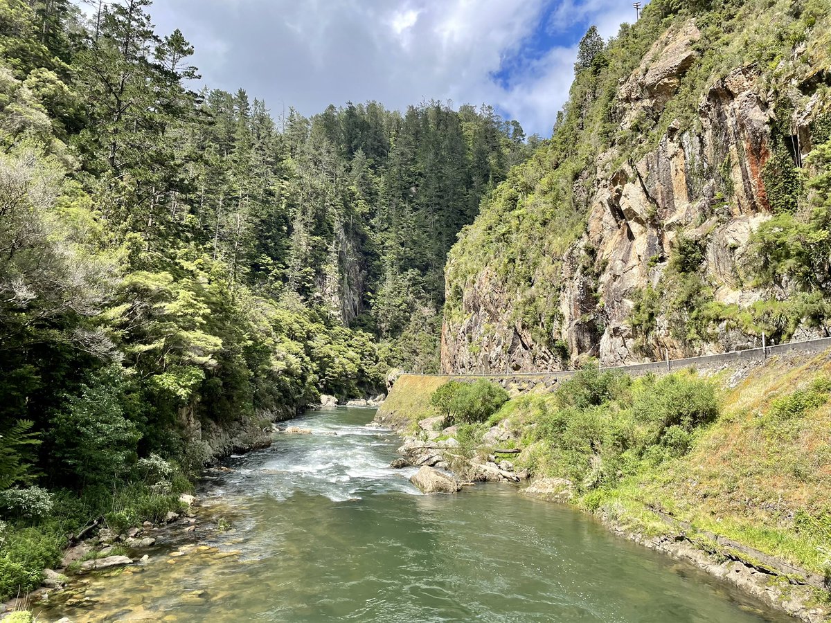 Mary Alexander tweet media