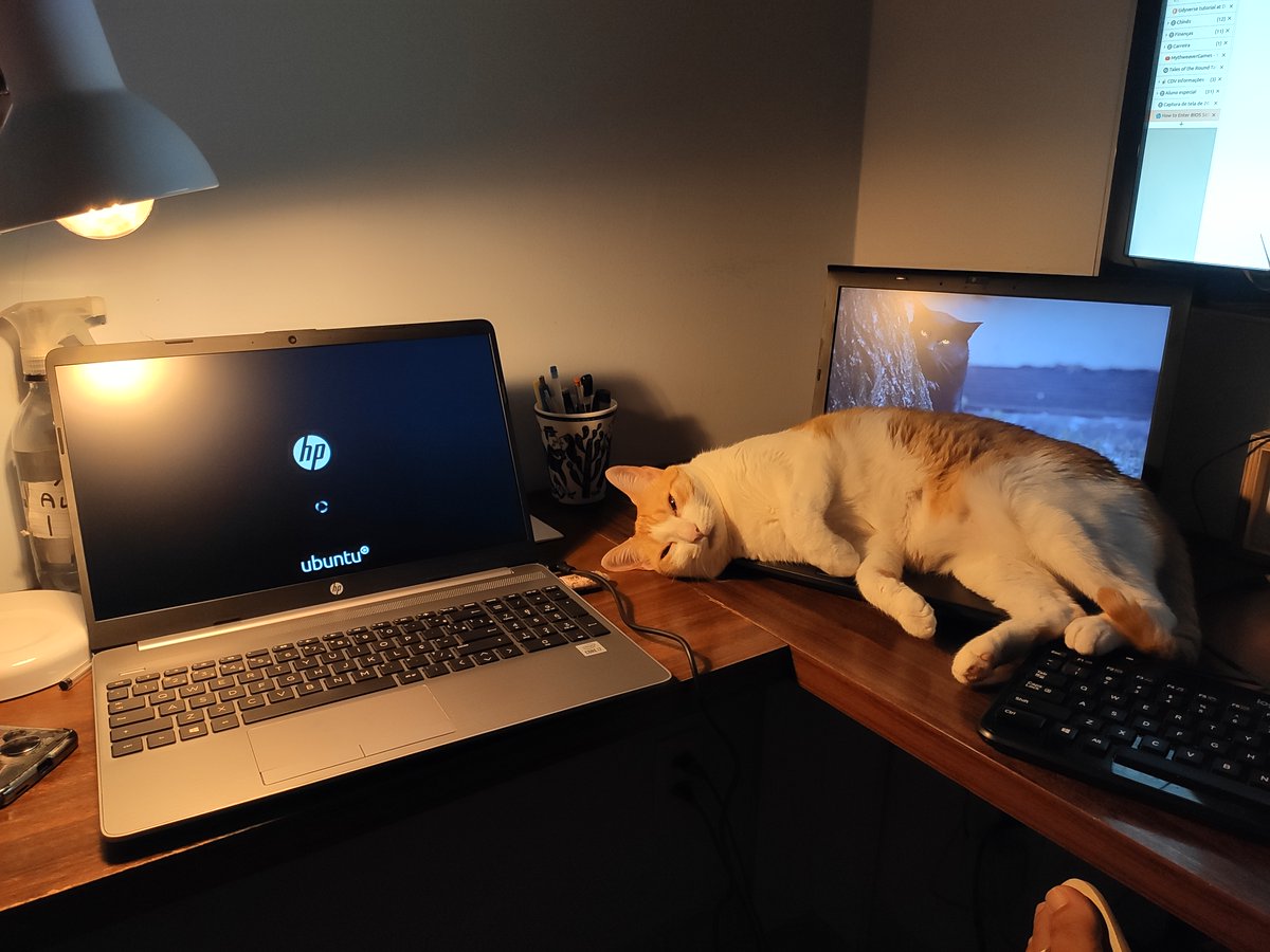 Adam Brandizzi tweet media