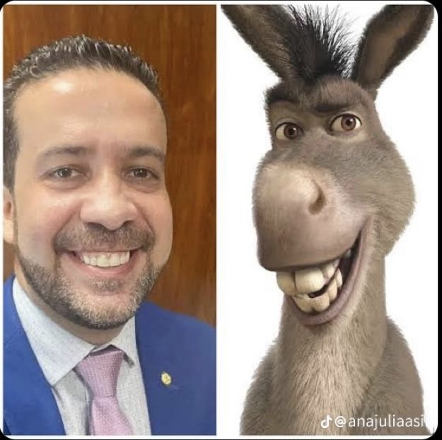 QUALQUER SEMELHANÇA É MERA COINCIDÊNCIA 🤔QUAL É O DANONES? FIQUEI NA DÚVIDA!