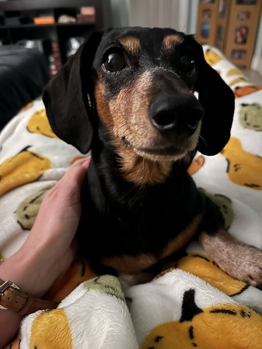 Just a good looking babe 💜 https://t.co/lA0xjZIJeD<a href="/tag/newprofilepic"class="tags"><span>#newprofilepic</span></a>