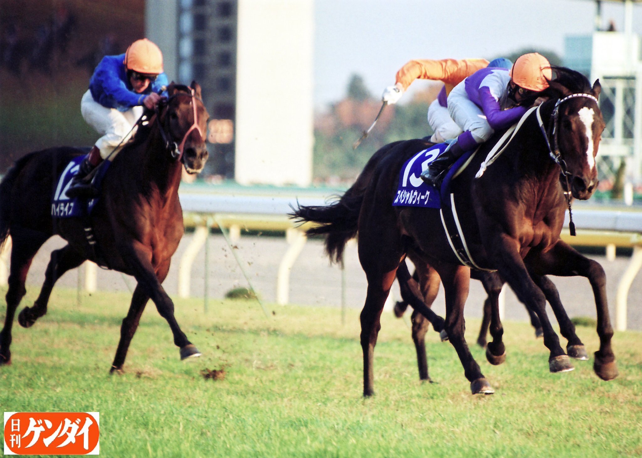 日刊ゲンダイ 競馬 on X: 日刊ゲンダイ 競馬 on X: