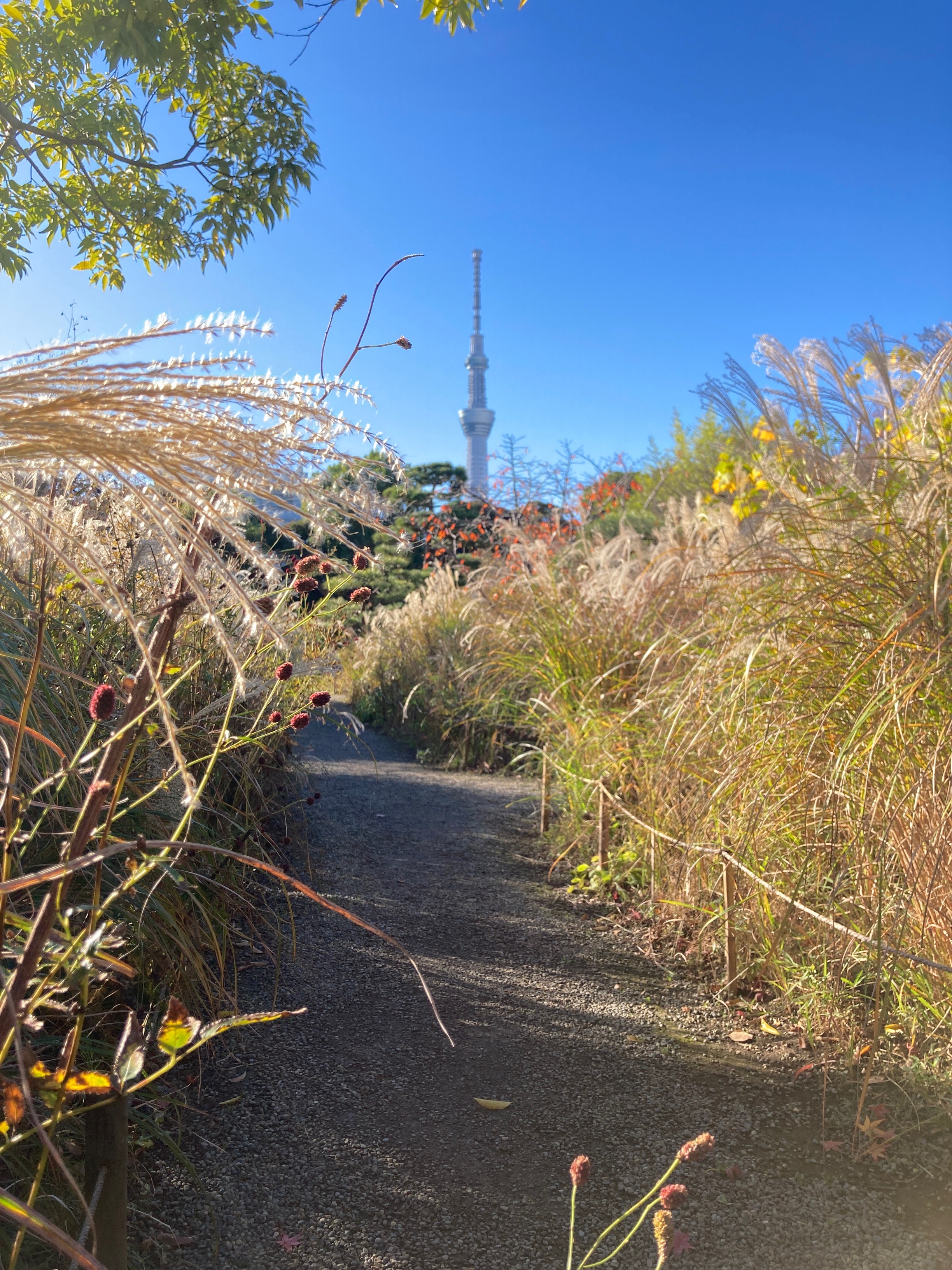 向島百花園 Mukoujimagarden Twitter