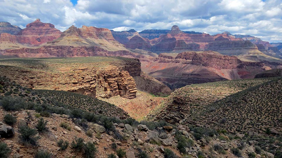 GrandCanyonNPS's tweet photo. Extreme changes in elevation, exposure, &amp; climate within Grand Canyon support a remarkable range of biotic communities in unusual proximity > https://t.co/y03a9no03c https://t.co/qlbtYmLJjJ