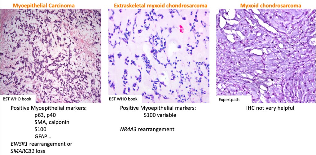 Annie Garcia tweet media