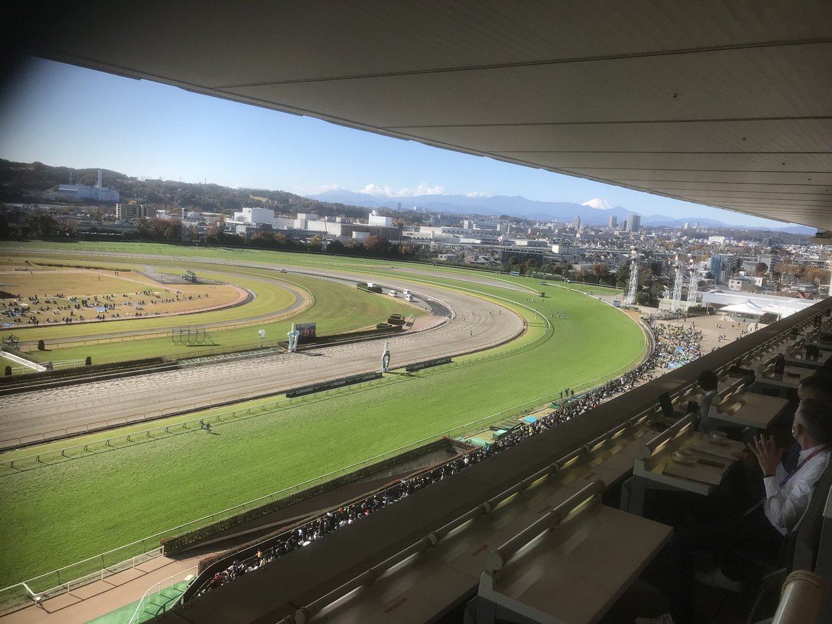 42nd Japan Cup day