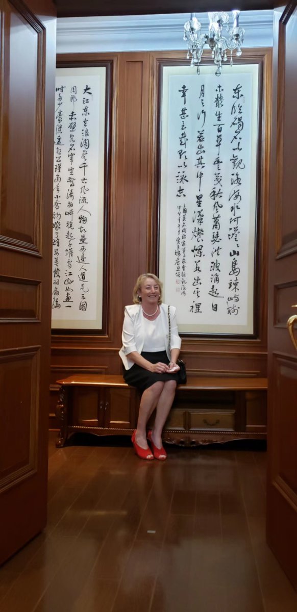 Embassy of Ireland, China tweet media