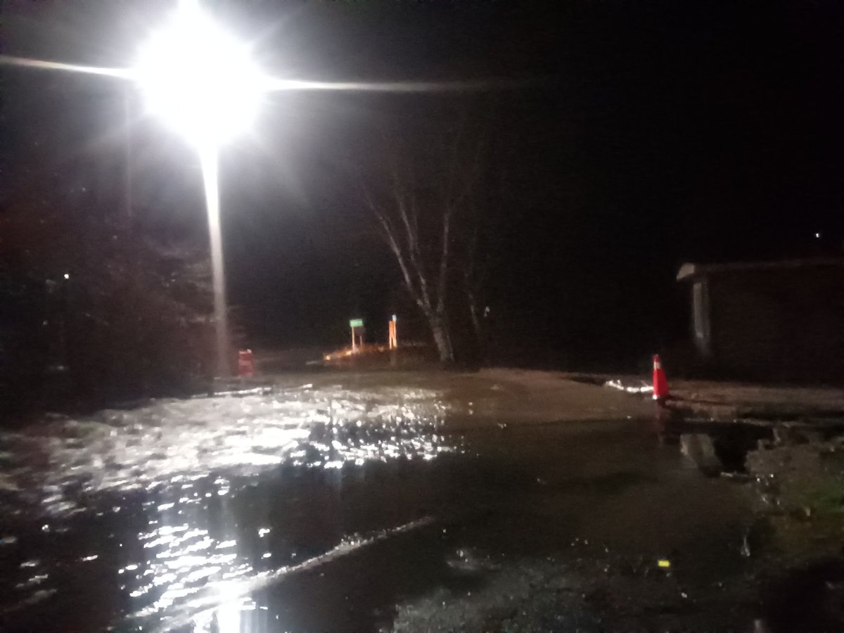 S. Ferguson tweet media