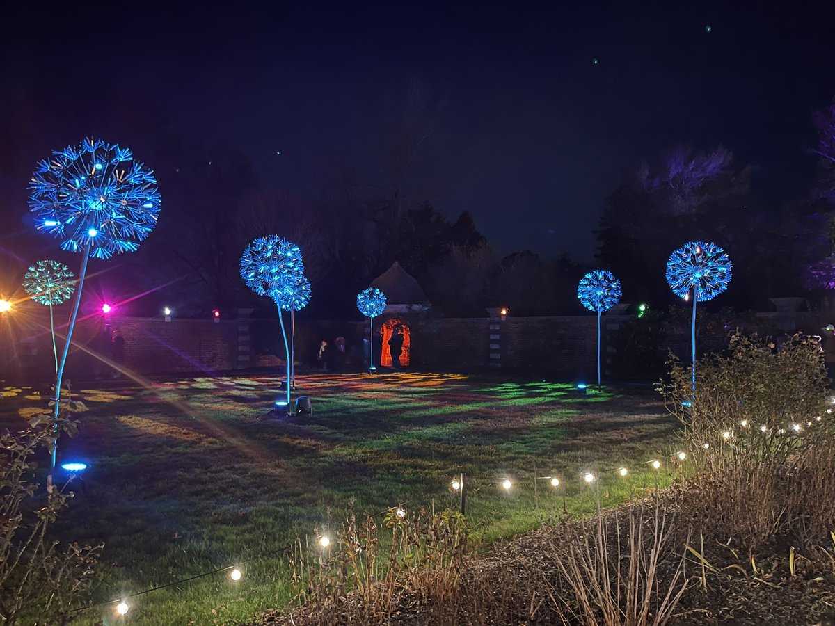 TheRealGracieD's tweet photo. Loved #ShimmeringSolstice at @oldwestburygard so much last year, we came back for Year Two! Too many pics for one tweet but these were amazing 🎄🪷✨ https://t.co/Qd2uHiZeYu