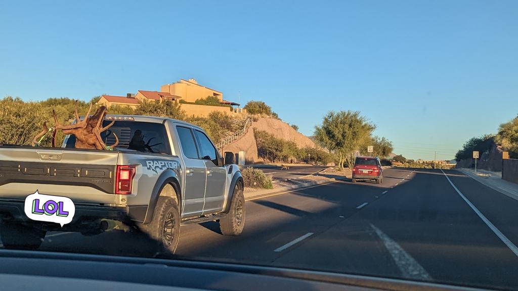 NULLxFUSION's tweet photo. Tucson is fun sometimes

Do you see the coyote? https://t.co/TQAM08mAEg
