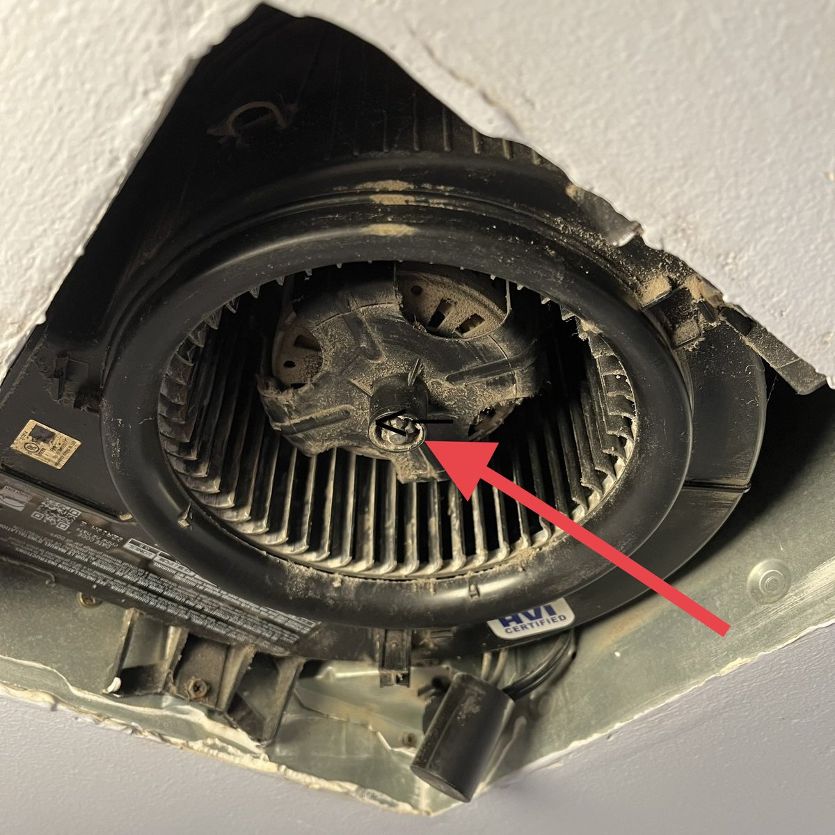 1curiouskid's tweet photo. @PanasonicNA @BroanNuTone you guys need to put a quick-release on these fan blade assemblies so that they’re easy to take out , put in the dishwasher and then put back in. https://t.co/37ZQTQT2aF