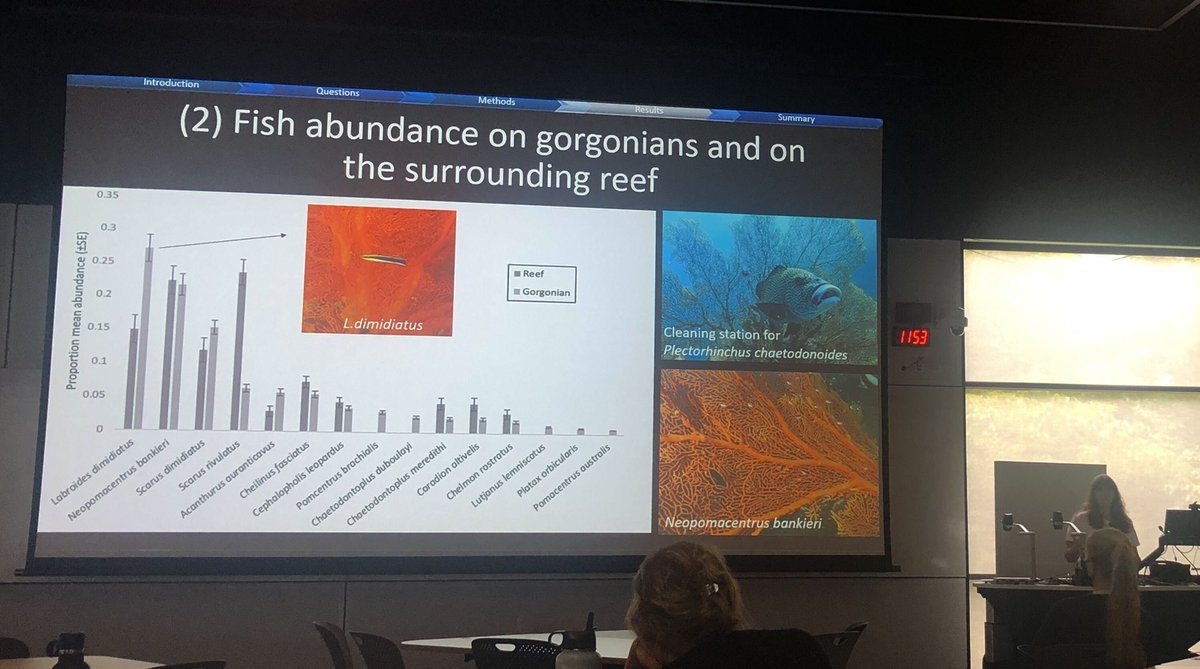 Naomi Gardiner (@naomimgardiner) on Twitter photo the fabulous gorgonian gobies with <a href="/EspinheiraMarta/">Marta Espinheira</a> #acrs22
awesome diversity and insights the fabulous gorgonian gobies with <a href="/EspinheiraMarta/">Marta Espinheira</a> #acrs22
awesome diversity and insights