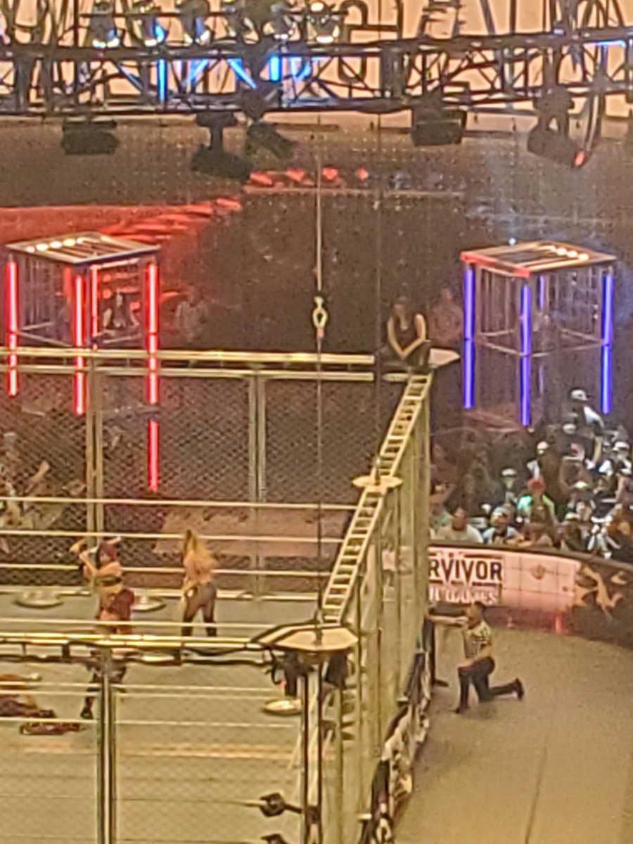 CreativeCatte's tweet image. Amazing match @WWENikkiASH! Thank you for being awesome!! #SurvivorSeries #WWE ❤️🖤