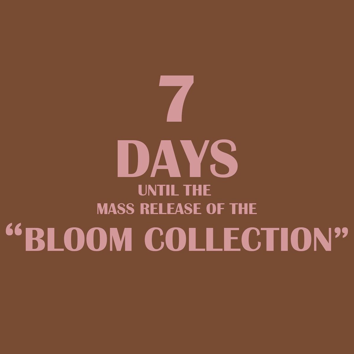 omnimaison's tweet photo. The “Bloom Collection” will be available for purchase on December 3rd. 

Go to https://t.co/k1UoUk8pLl to browse our lookbook https://t.co/5aQrZswVmH