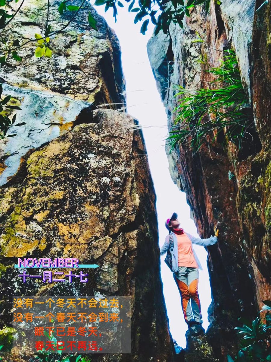 口罩三年，悟懂人生：

自由的美好，
健康的幸福，
生命的脆弱，

活着便已胜利，
微笑独领风景，
坚持迎接未来。

周末愉快[玫瑰]