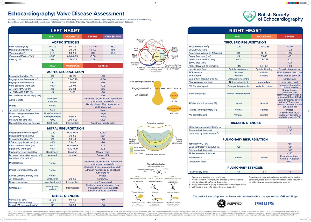 Echocardiography: Valve Disease Assessment

#TipsForNewDocs #MedEd #MedTwitter #medicine #medical #medicare #health #healthcare #FOAMed #ClinicalPearl #clinicaltips #MedStudents #CardioEd #Cardiology #CardioTwitter #Cardiovascular